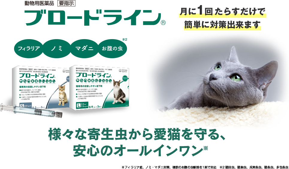 ブロードライン 猫専用 フィラリア症予防 ノミ マダニ お腹の虫の駆除薬 ノミダニフィラリア Com