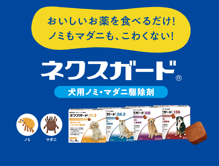 前提 簡単な 満足 フィラリア 犬 薬 通販 Kyoto Shisetsu Jp