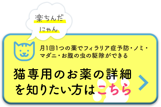 猫のオールインワンのお薬｜ノミダニフィラリア.com