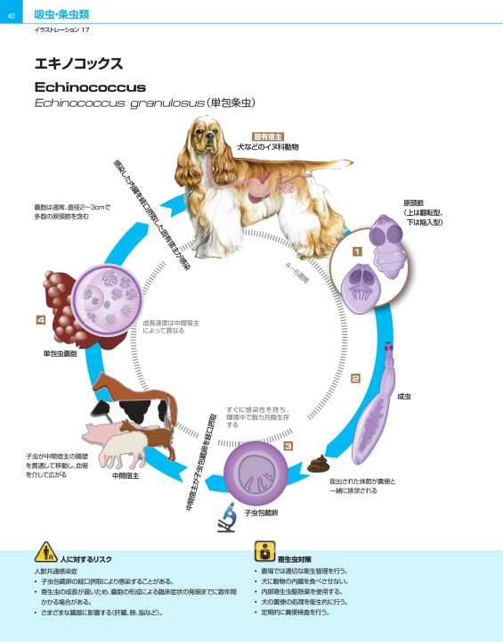 犬と猫の寄生虫症アトラス PARASITES