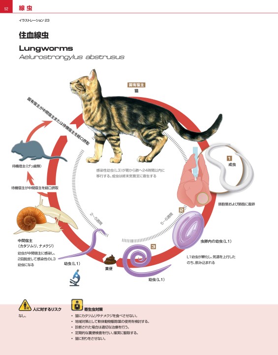 犬と猫の寄生虫症アトラス PARASITES