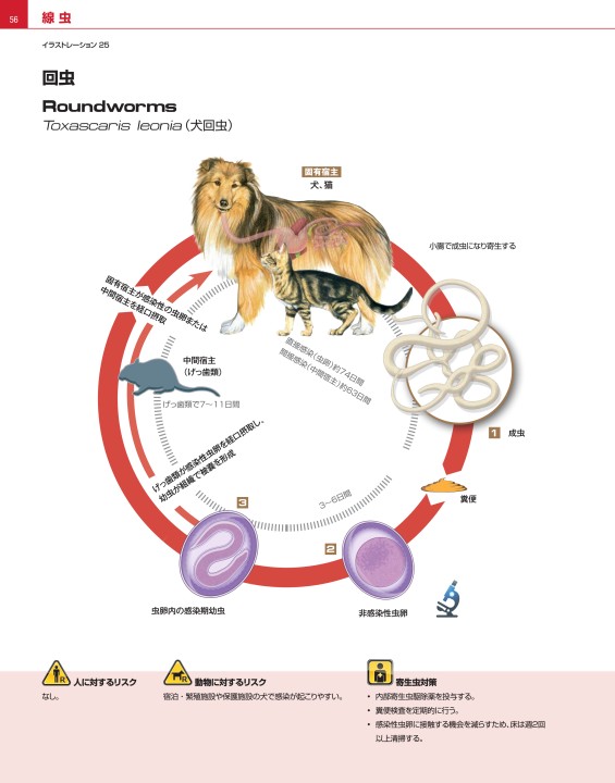 犬と猫の寄生虫症アトラス PARASITES