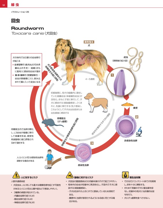 犬と猫の寄生虫症アトラス PARASITES