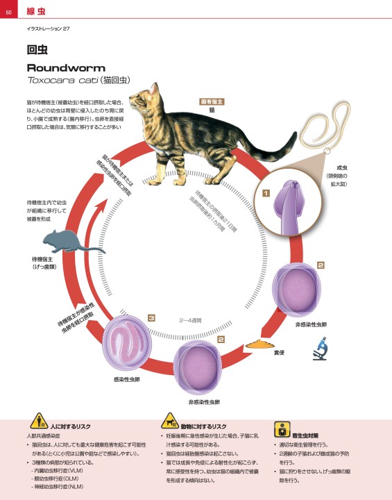 犬と猫の寄生虫症アトラス PARASITES