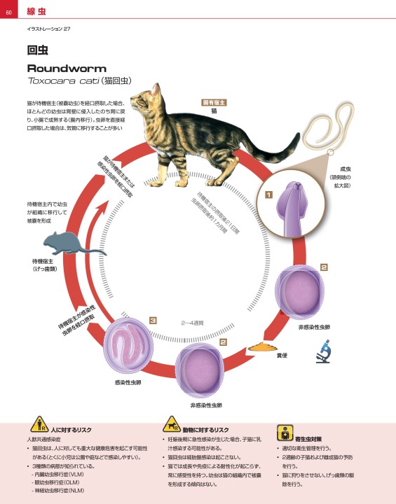 犬と猫の寄生虫症アトラス Parasites