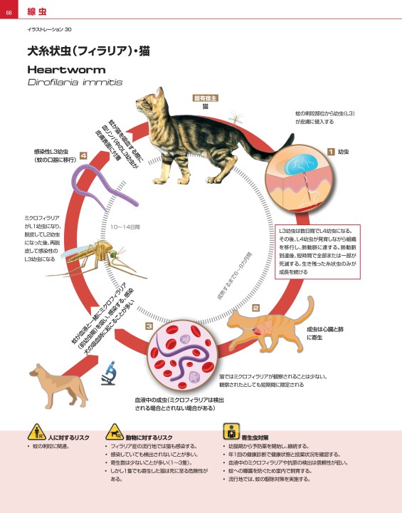 犬と猫の寄生虫症アトラス PARASITES