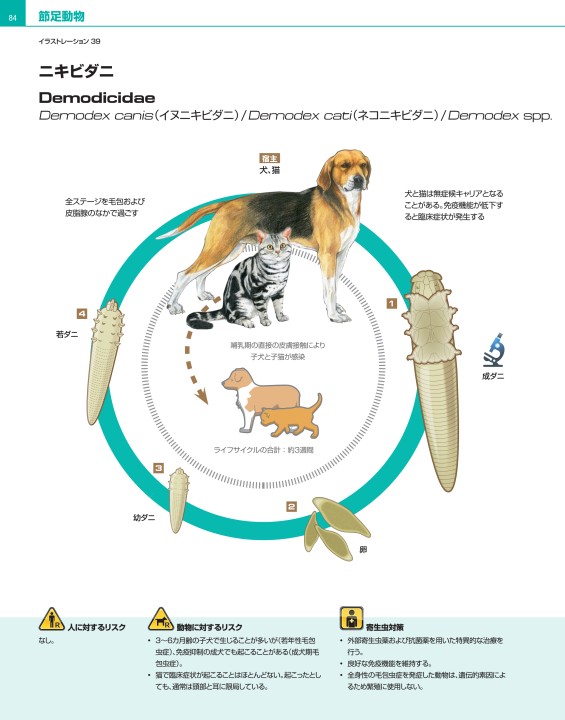 犬と猫の寄生虫症アトラス Parasites