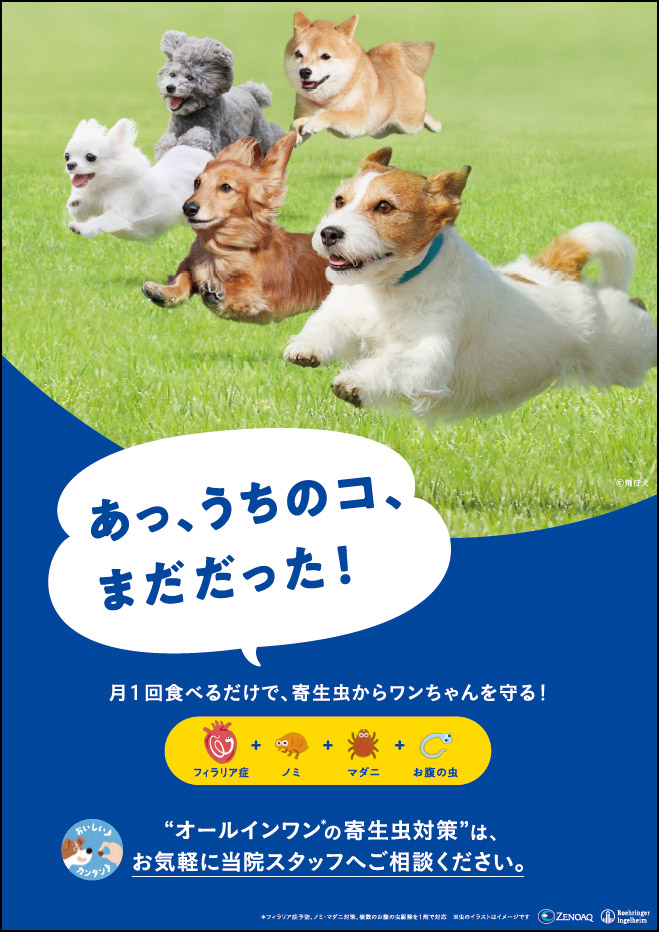 犬オールインワンA3ポスター
